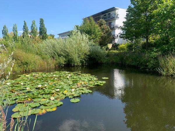 A la foto es mostra l'objecte Lovely 3 room apartment for 4 P, Messe, U-Bahn, Park situat a la ciutat de Hannover.