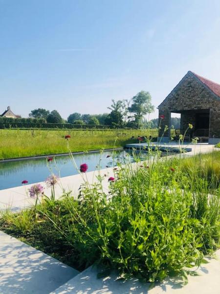 A la foto es mostra l'objecte Schuurloft Hof ten Bogaerde met biozwembad, veldzicht & uilennest situat a la ciutat de Snellegem.