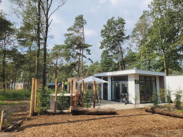 Na fotografii je vidět objekt Sallands Chalet met Hottub en Sauna nacházející se ve městě Haarle.