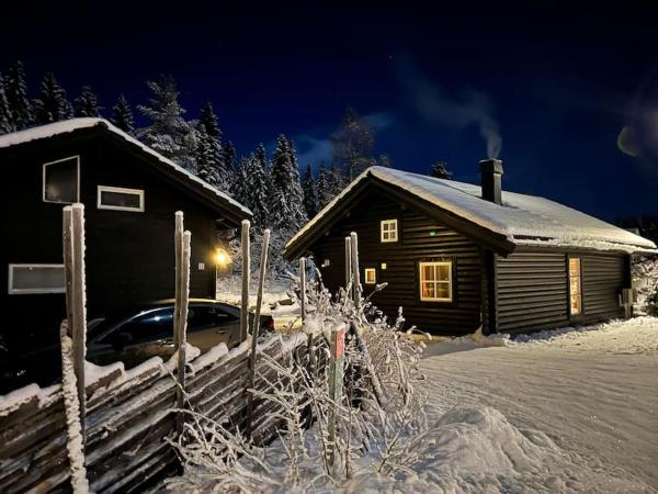 A la foto es mostra l'objecte Nice log house close to Lillehammer and Sjusjøen situat a la ciutat de Haugen.