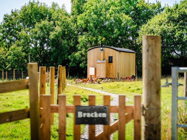 Foto 2: Bracken