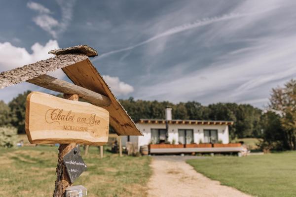 Kuvassa näkyy kohde Chalet am Mollcesine, joka sijaitsee kaupungissa  Oderwitz.