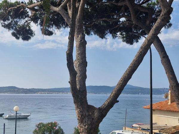 Appartement 2 Pièces, Vue Mer, Près Port, 4 Pers, Parking, Ascenseur, Sainte-maxime - Fr-1-780-51 - 꼬뜨 다쥬흐
