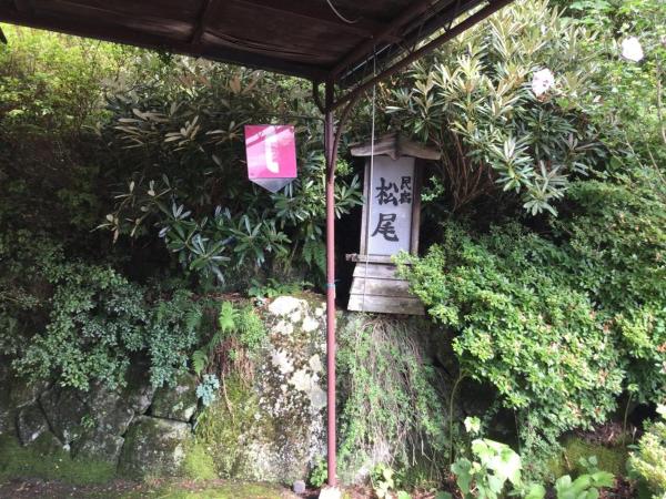 Фотография 3: 民宿松尾