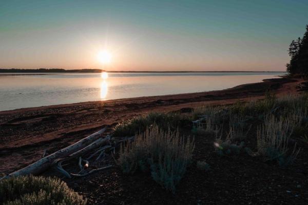 Na fotografii je vidět objekt Sunset Off-grid Oyster Creek Cabin nacházející se ve městě Little Pond.