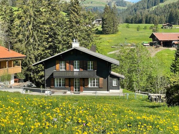 A la foto es mostra l'objecte Lovely 4 Bedroom Chalet Great for Ski Holiday situat a la ciutat de Saanenmöser.