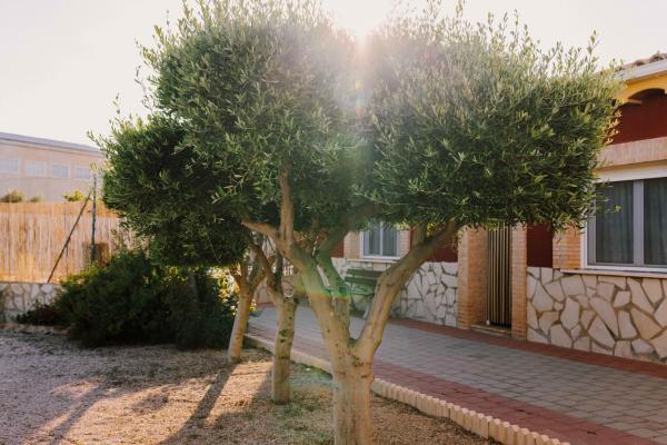 Casa Cayo - Caravaca de la Cruz