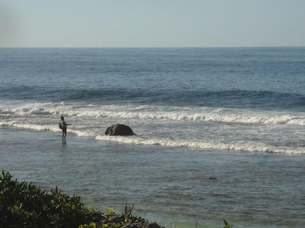 Bilde 9: Absolute Beachfront - A Slice of Paradise!