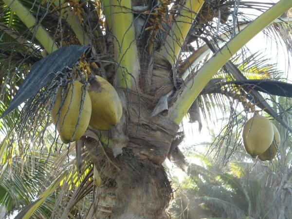 Bilde 5: Absolute Beachfront - A Slice of Paradise!