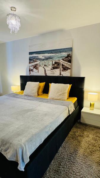 写真にはティミショアラ市にあるElite -FREE Parking -Spacious 2BR -Near Iulius & Aquaparkが写っています。