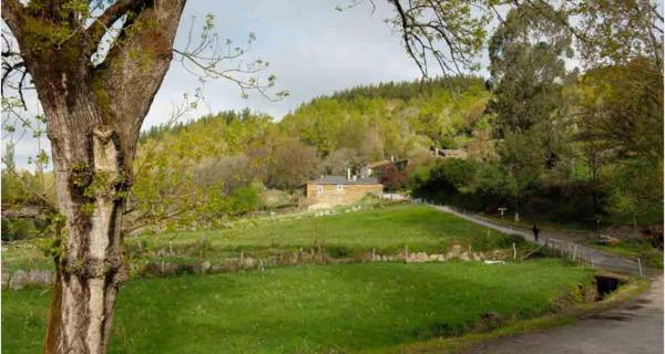 A la foto es mostra l'objecte Casa da Rasa situat a la ciutat de Loseiro.