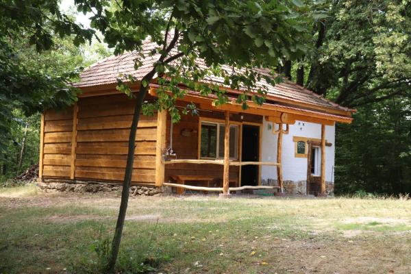 A la foto es mostra l'objecte Cabana Poiana Florica situat a la ciutat de Bucea.