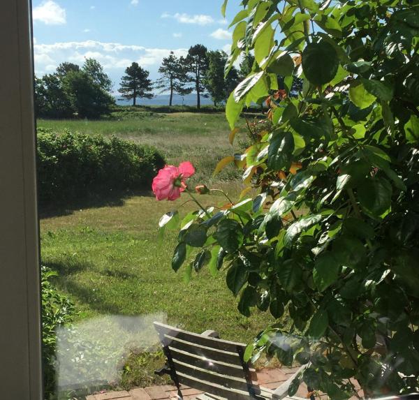 På billedet ses objektet Ferienhaus Seeblick 39 beliggende i byen Holnæs.