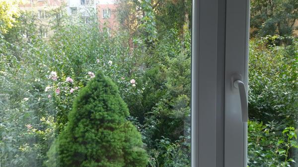 Bilde 4: Apartament Sofia