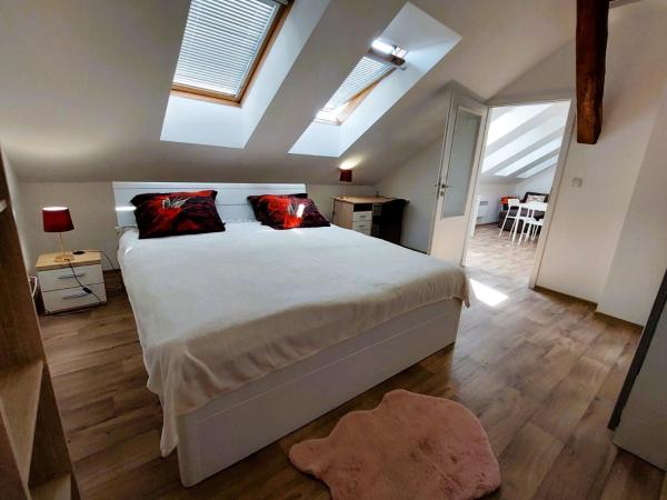 Charming Apartment In Historic City Center 40 M - Hradec Králové