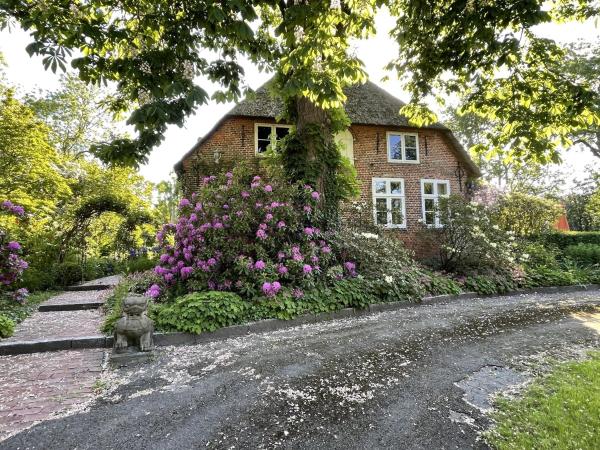 Kuvassa näkyy kohde Ferienwohnung 