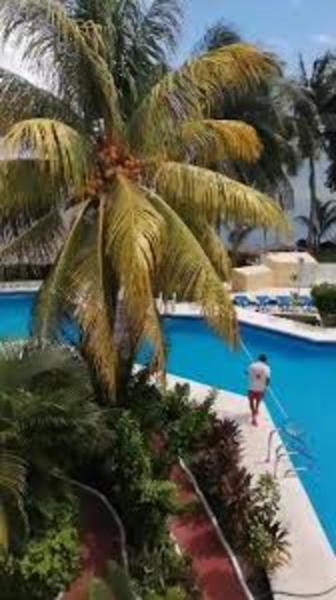Lagoon room, Cancún