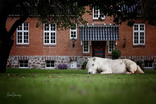 Op de foto is het object Søstgård B&B te zien, gelegen in de stad Rødekro.