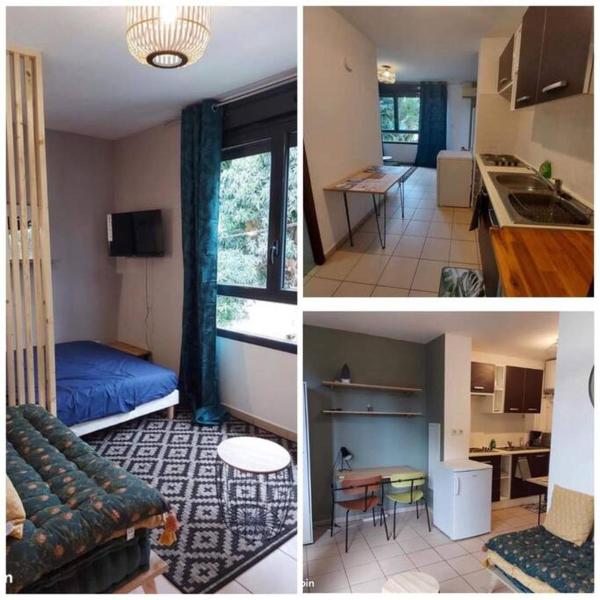 Studio Macadamia, Saint-Denis