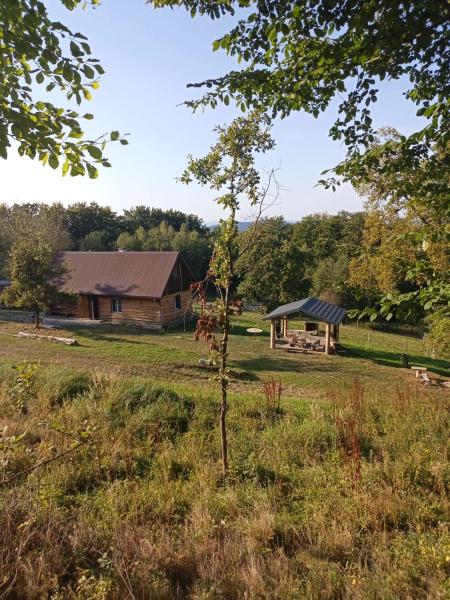 Kuvassa näkyy kohde Dom Wypoczynkowy Cieklinka, joka sijaitsee kaupungissa Wapienne.