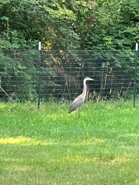 Na fotografii je vidět objekt Marengo nacházející se ve městě Marengo.