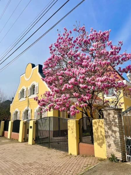 Na foto é possível ver o objeto Brigetio Kúria localizado na cidade de Mocsa.