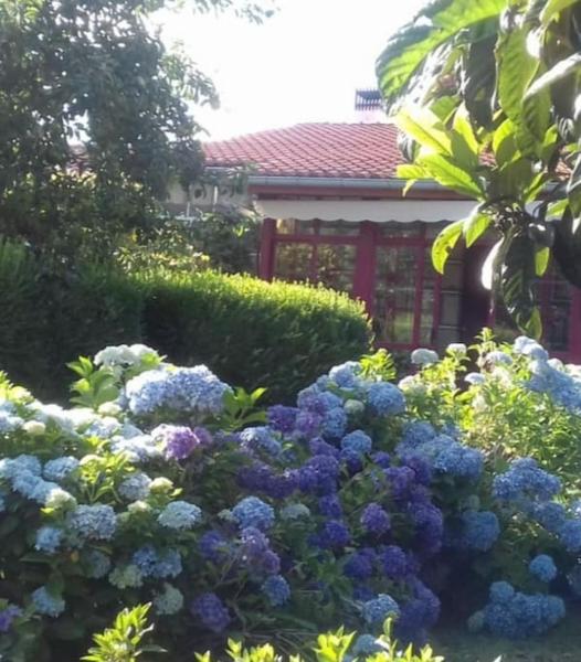 Na fotografii je vidět objekt A Casa do Buxo nacházející se ve městě Vilanova.