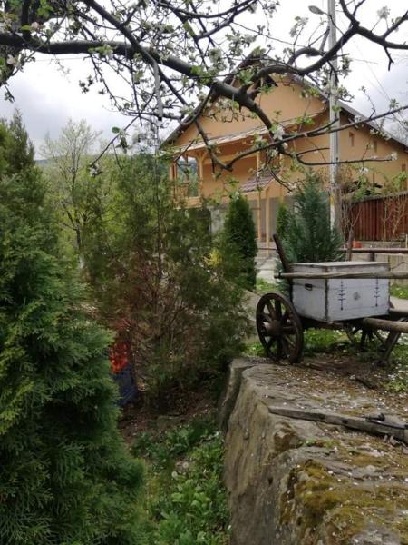 Op de foto is het object Piatra Mare Nehoiu 1 te zien, gelegen in de stad Colţi.