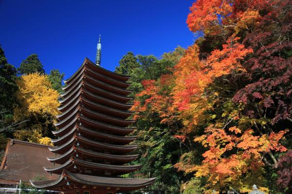 Foto 6: 多武峰観光ホテル