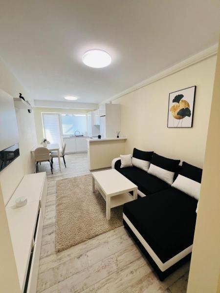 Nella foto è visibile l'oggetto Ivy Central Residence situato nella città di Baia Mare.