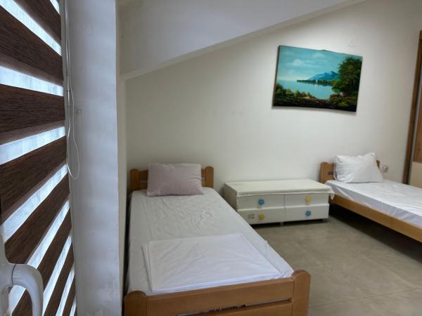 The photo shows the Apartment Cece located in the city of Timjanik.