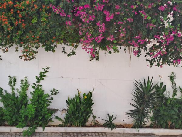 studio coquet chez LOU - Marsa, Tunisi