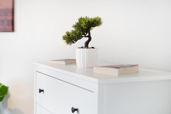 Kuva 2: Spacious - 3 Bed - Free Parking