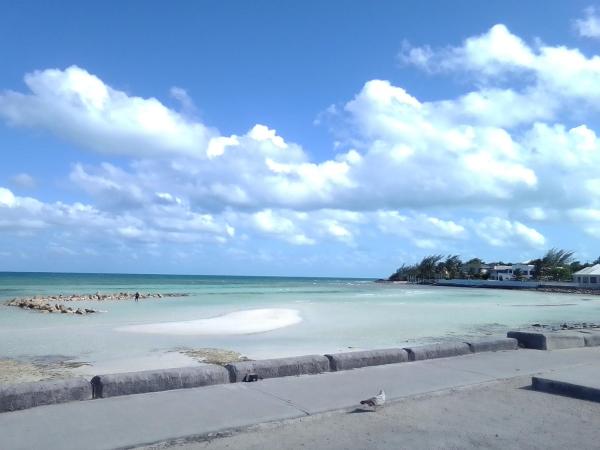 På bildet vises objektet Cozy Efficiency Near Beach som ligger i byen Nassau.