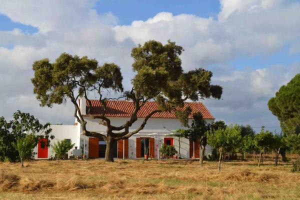 Nella foto è visibile l'oggetto Villa - Cottage - Herdade da Fonte das Três portas situato nella città di Ciborro.