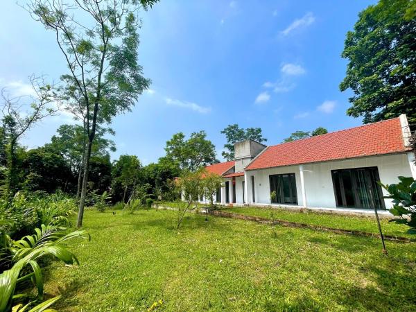 Op de foto is het object The Garden Homestay te zien, gelegen in de stad Giá Sơn.