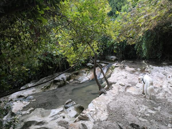 Billede 8: Between Valley & Mountain