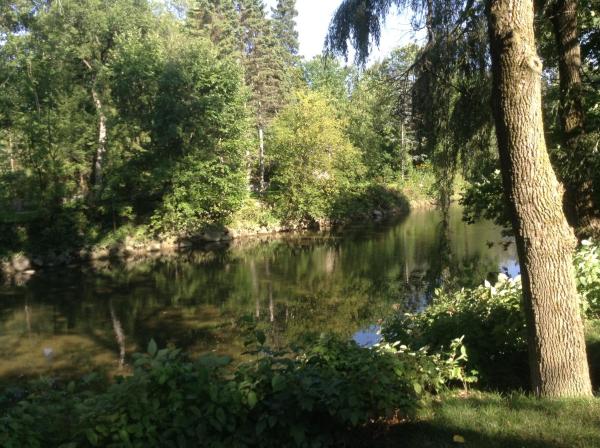The photo shows the Nature in the middle of the city located in the city of Saint-Nicolas.
