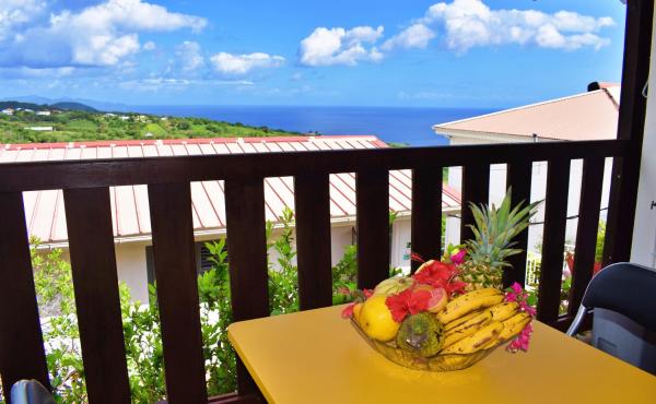 Lauramar Mangue - Vue Mer et Montagne