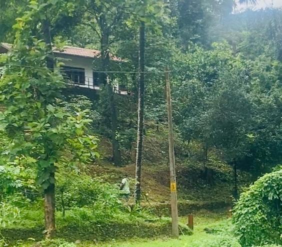 A la foto es mostra l'objecte Plantation stay situat a la ciutat de Kuttyādi.