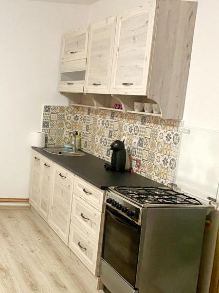 A la foto es mostra l'objecte RaiZi situat a la ciutat de Floreşti.
