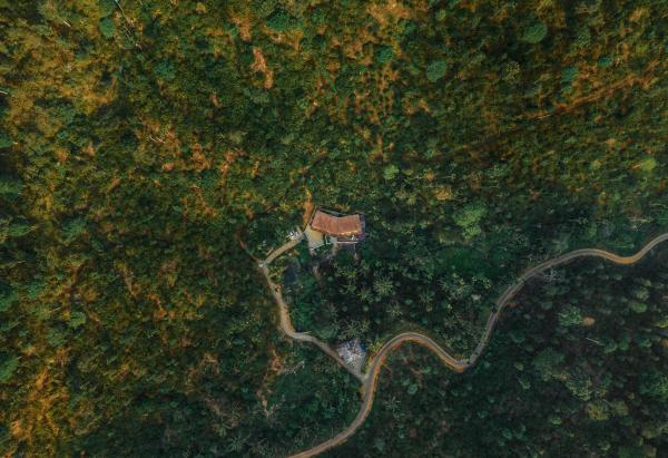 På bildet vises objektet Bhadra - The Estate Villa som ligger i byen Wayanad.