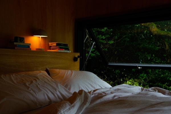 Digital Detox Cabin - Ireland