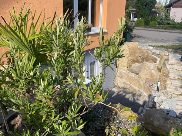 Na zdjęciu widoczny jest obiekt Carmen diem położony w mieście Glochen.