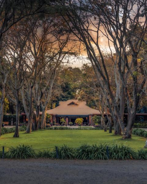 Na fotografii je vidět objekt Elewana Arusha Coffee Lodge nacházející se ve městě Arusha.