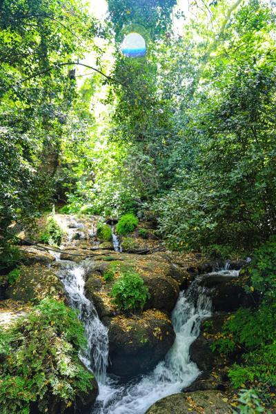 Auf dem Foto ist das Objekt Selale Cennet Evleri in der Stadt Kemer zu sehen.