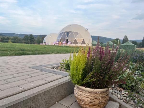 A la foto es mostra l'objecte Tatra Glamp Okrzeszyn - Siec noclegowa Tatra Glamp situat a la ciutat de Okrzeszyn.