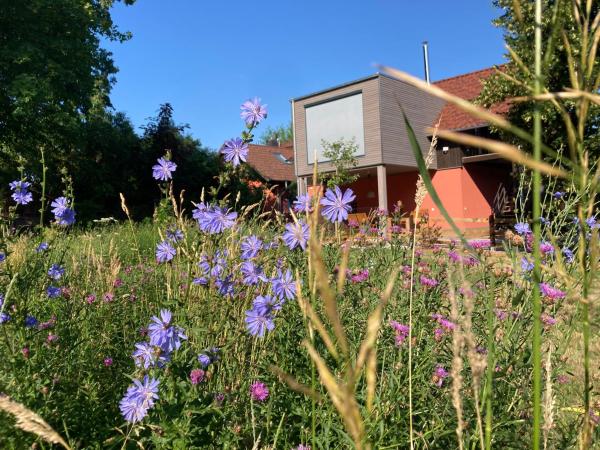 Nella foto è visibile l'oggetto Ferienloft Libela Straupitz im Spreewald situato nella città di Straupitz.