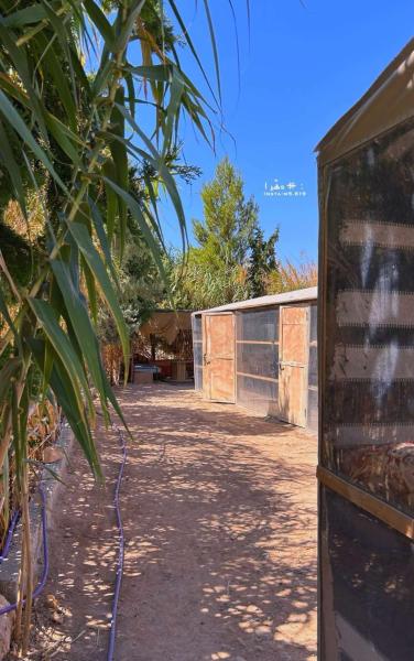 A la foto es mostra l'objecte Country cottage situat a la ciutat de Al Ḩayy.