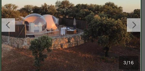 A la foto es mostra l'objecte Iglu holyday situat a la ciutat de San Amaro.